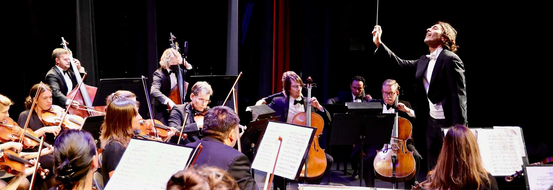 2509 Sensational Strings